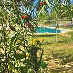 Casa Da Quinta Da Prelada Simao Vakantiehuis *