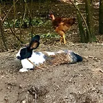 Casa Da Quinta Da Prelada Simao Nyaraló *
