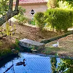 Casa Da Quinta Da Prelada Simao Vakantiehuis