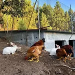 Casa Da Quinta Da Prelada Simao Дом отдыха Селорику-ди-Башту