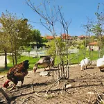 Casa Da Quinta Da Prelada Simao Celorico de Basto