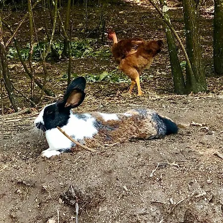 Casa Da Quinta Da Prelada Simao Nyaraló *