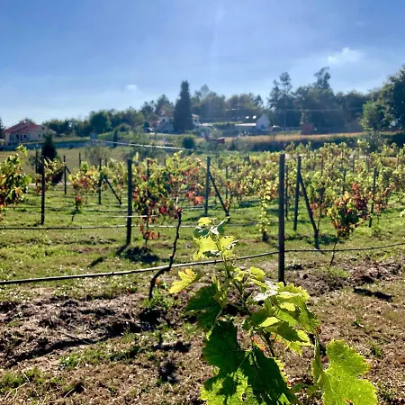 Casa Da Quinta Da Prelada Simao Holiday home *