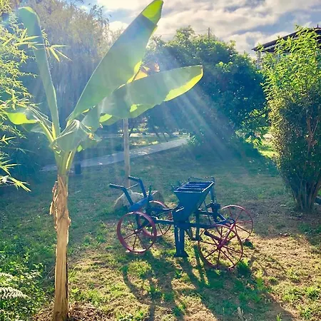 Casa Da Quinta Da Prelada Simao * Celorico De Basto
