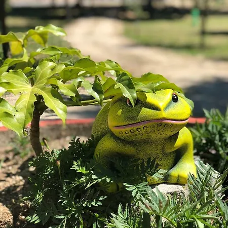 Casa Da Quinta Da Prelada Simao Semesterbostad Celorico De Basto