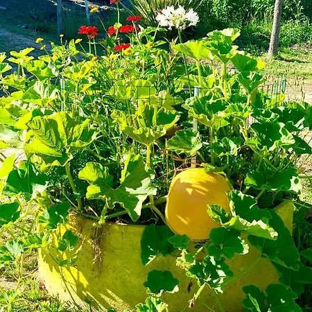 Casa Da Quinta Da Prelada Simao