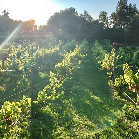 Nyaraló Casa Da Quinta Da Prelada Simao *