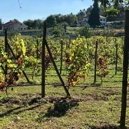 Casa Da Quinta Da Prelada Simao Holiday home *