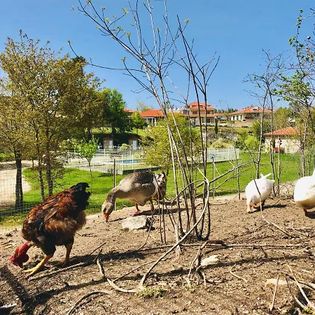 Casa Da Quinta Da Prelada Simao Celorico de Basto