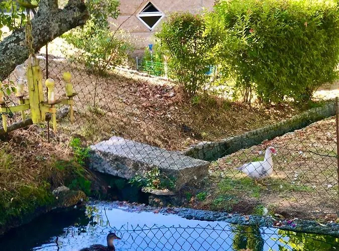 Casa Da Quinta Da Prelada Simao Дом отдыха