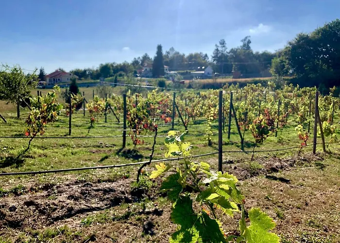 Casa Da Quinta Da Prelada Simao Дом отдыха *