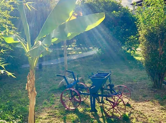 Casa Da Quinta Da Prelada Simao * Celorico De Basto