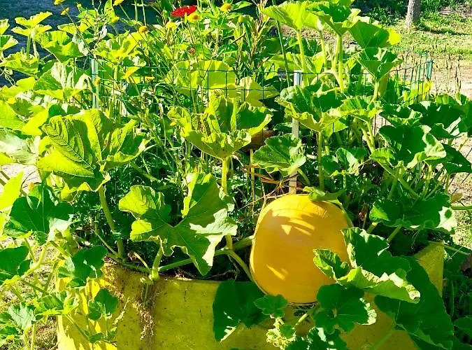 Casa Da Quinta Da Prelada Simão