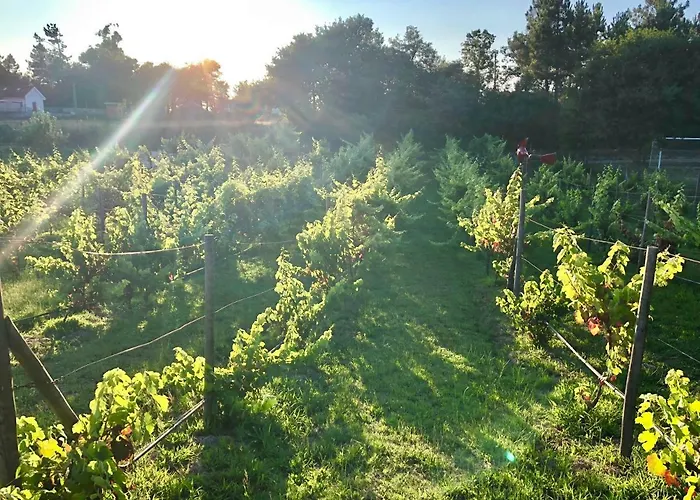 Дом отдыха Casa Da Quinta Da Prelada Simao *