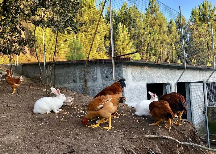 Casa Da Quinta Da Prelada Simão Casa de Férias Celorico De Basto