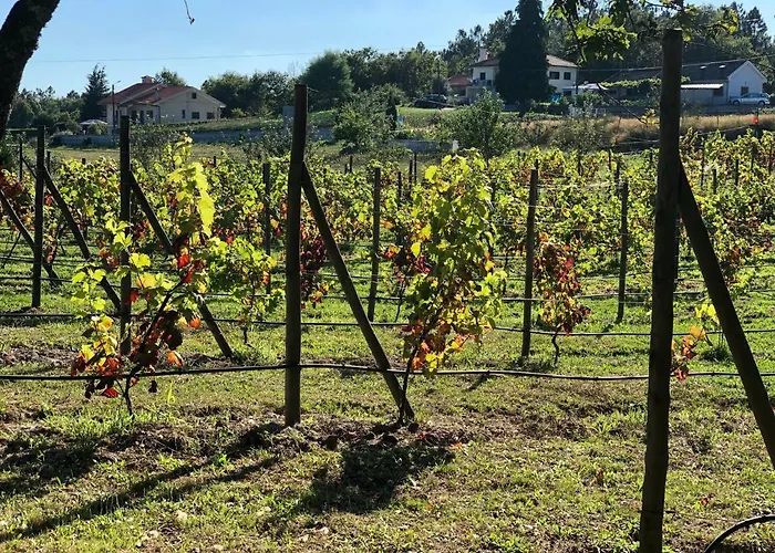 Casa Da Quinta Da Prelada Simao Dom wakacyjny *