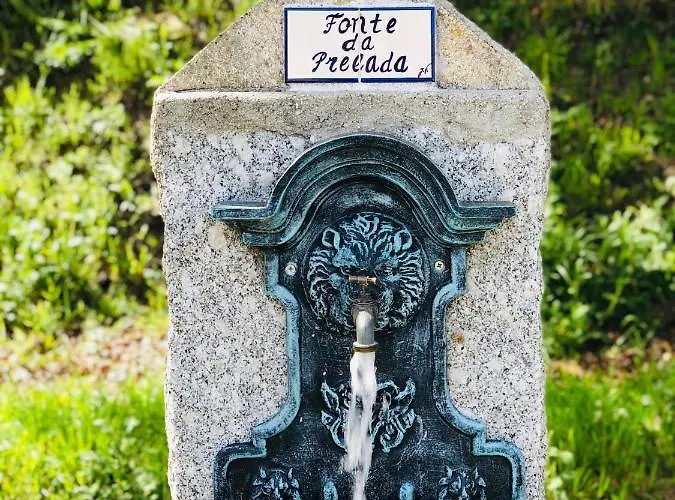 Casa vacanze Casa Da Quinta Da Prelada Simao *