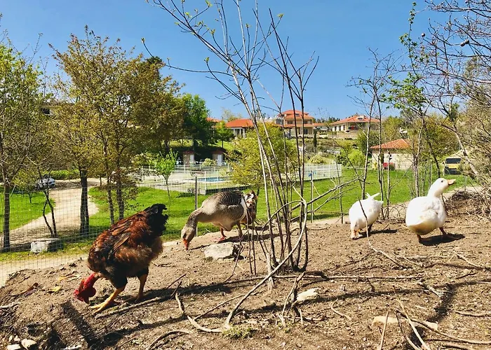 Casa Da Quinta Da Prelada Simao Celorico De Basto